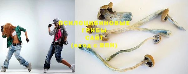 PSILOCYBIN Абинск