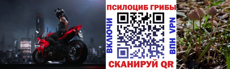 Галлюциногенные грибы мицелий Советская Гавань